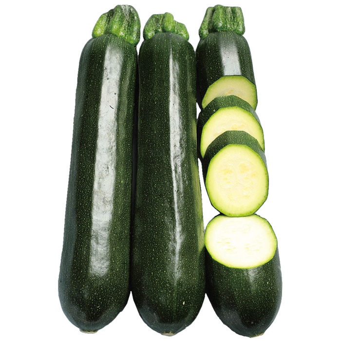 ズッキーニ ダークヤングマン(R)｜種（タネ）,球根,苗,資材