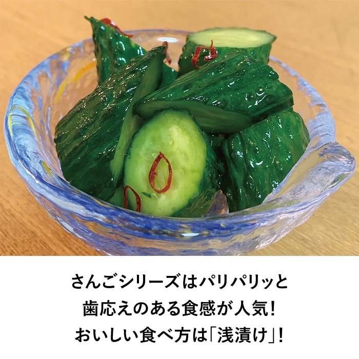 キュウリ 味さんご｜種（タネ）,球根,苗,資材,ガーデニンググッズの