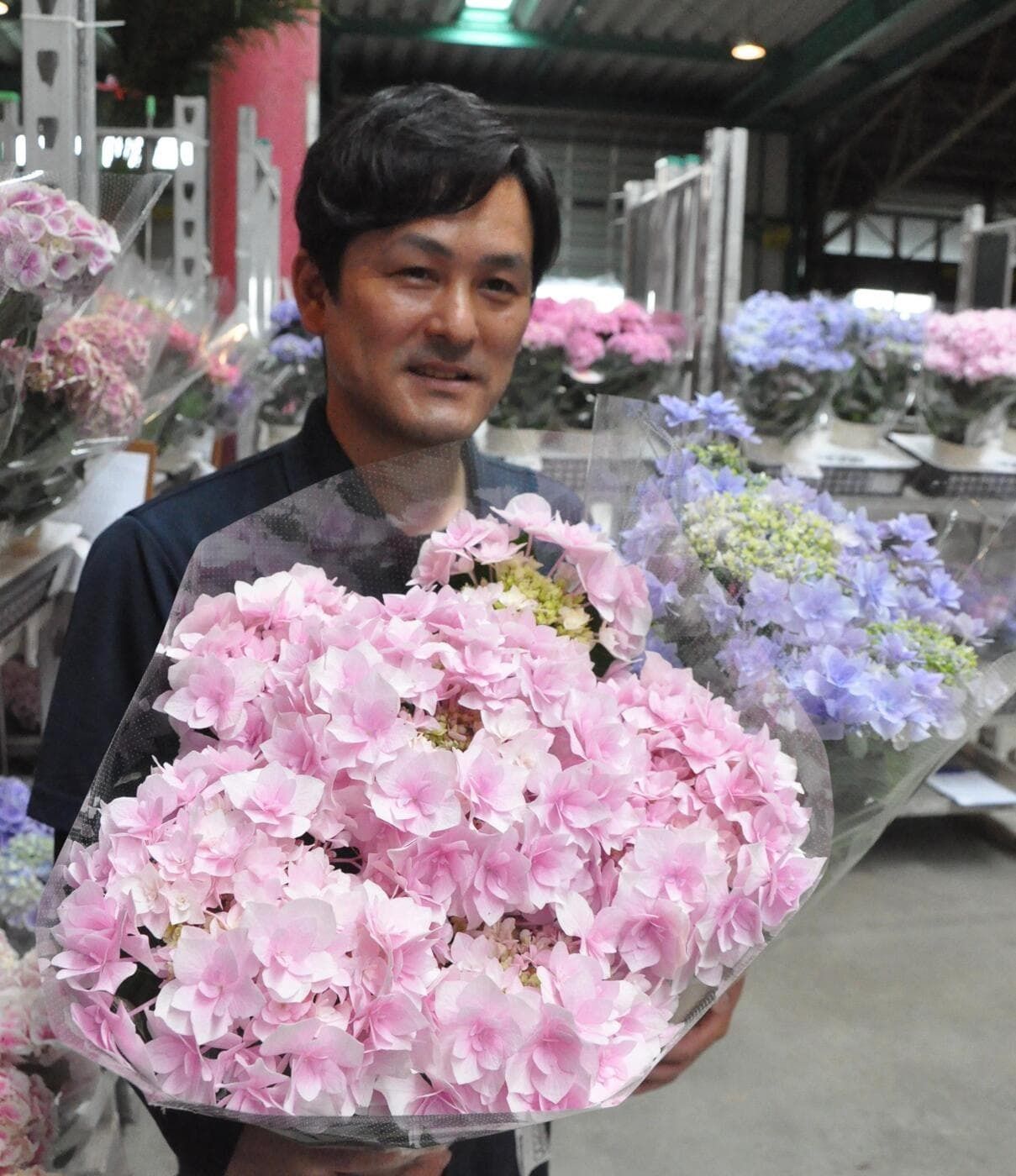 アジサイ新品種「月虹」が全国コンテストで最優秀賞に 久留米の組合が