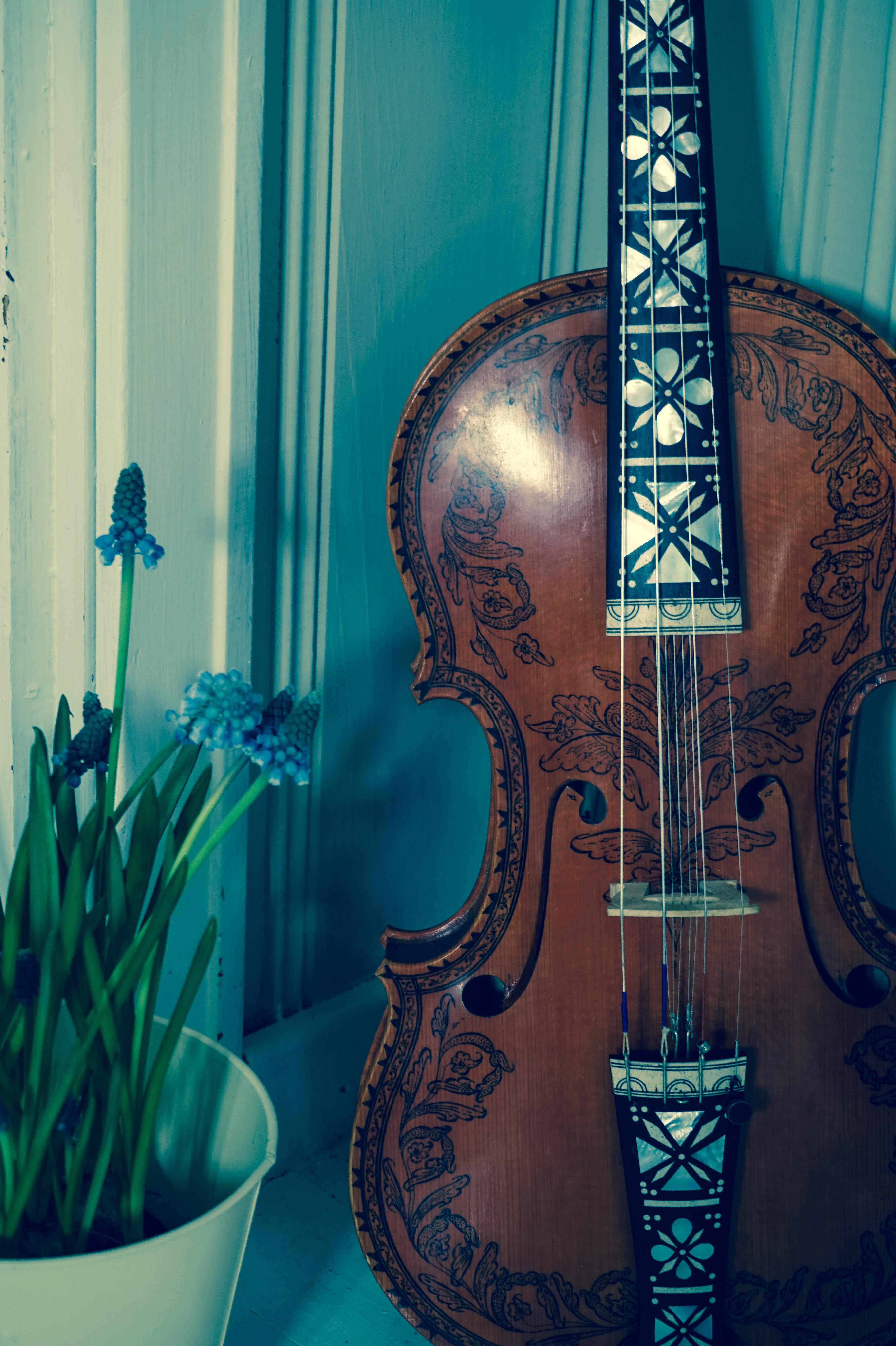 ハーディングフェーレについて About Hardingfele | Satoko's Room