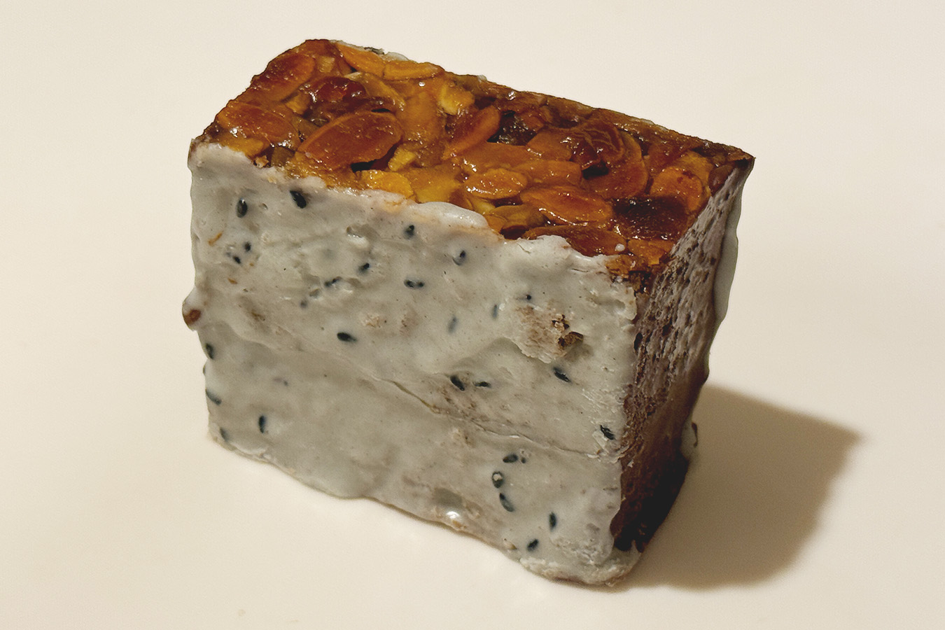 新潟県/加茂市 | Say Hello, Leave a Tune Behind - スガシカオ