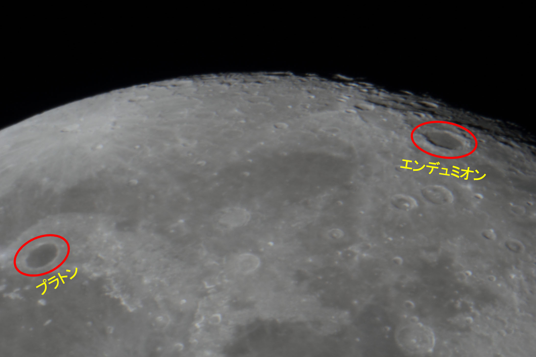 せんだい宇宙館－ギャラリー－