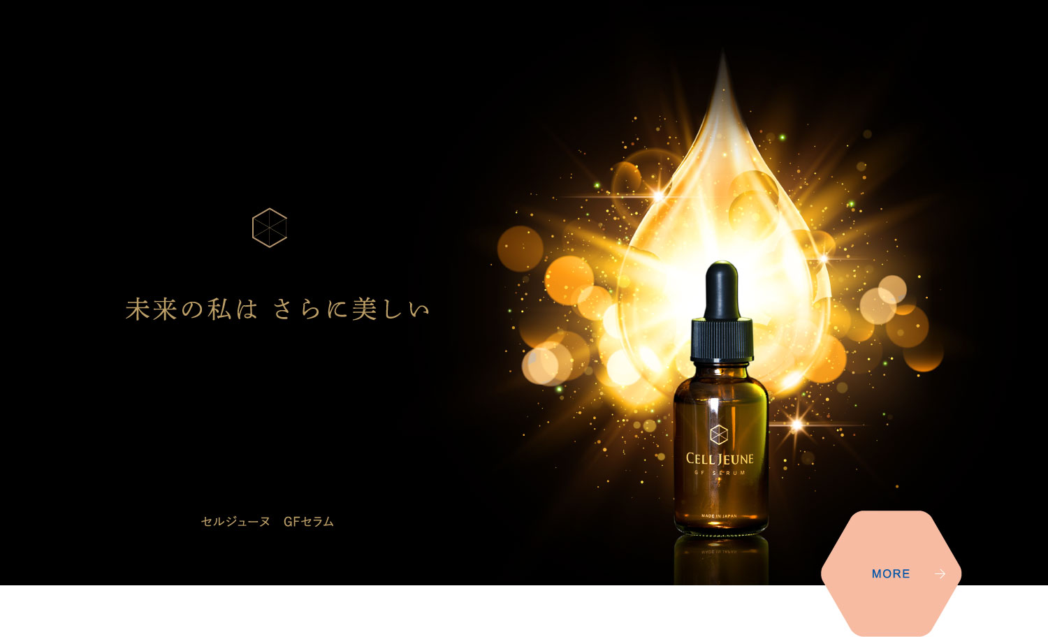 肌を整えるエイジングケア美容液｜[公式]整肌科学研究所