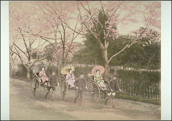花見・人力車]