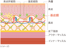 エイ エックス セブン ビーエム セラム ＆ エモーショナル プロ
