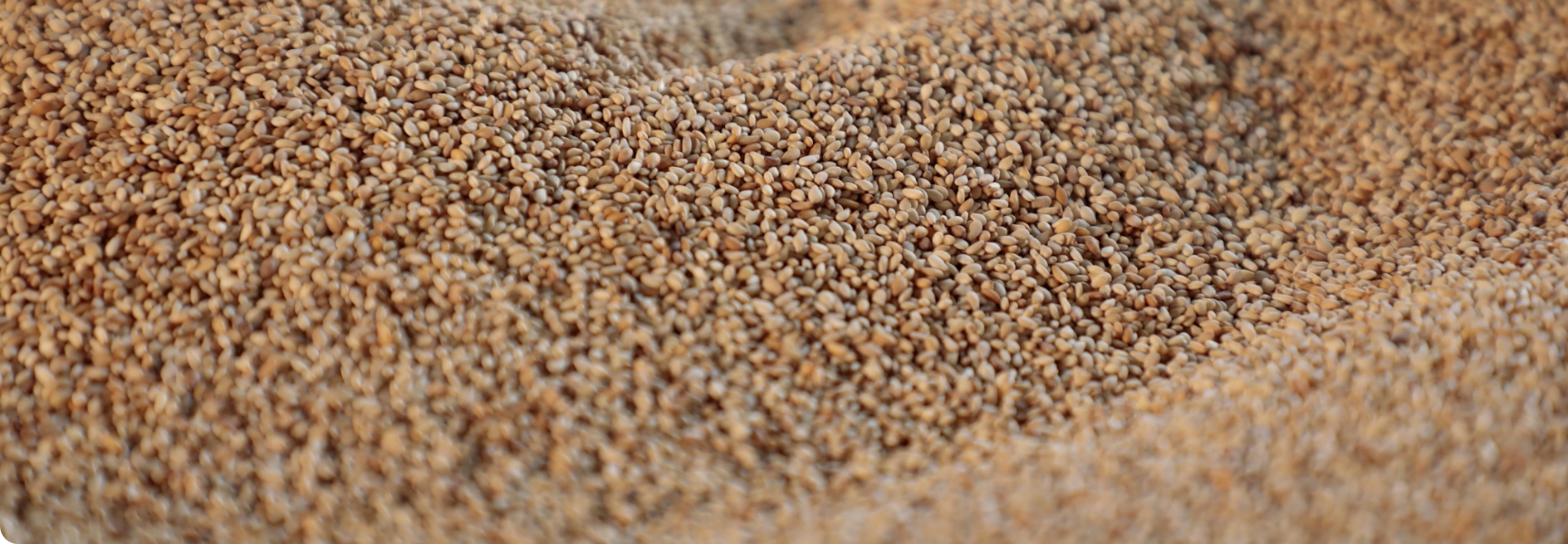 京都山田のsesamepaste（ごまねりねり）｜老舗ごま屋山田製油