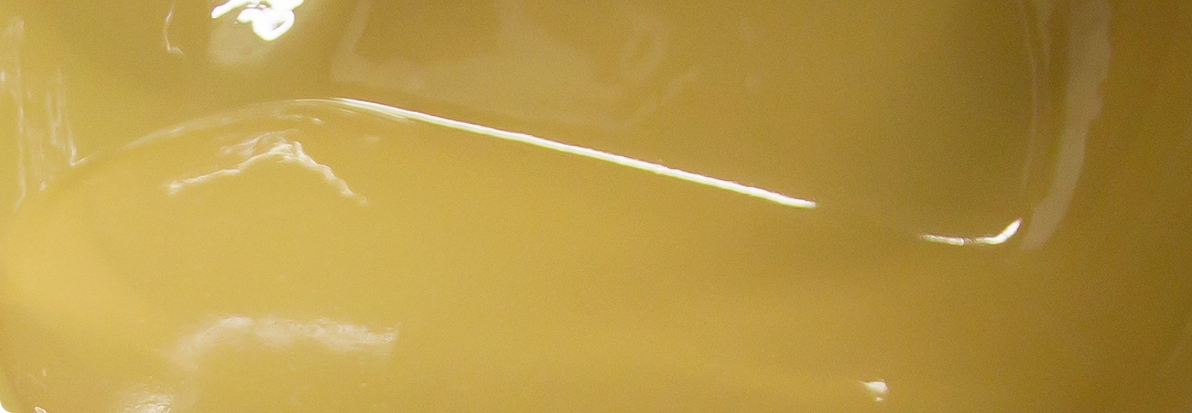 京都山田のsesamepaste（ごまねりねり）｜老舗ごま屋山田製油