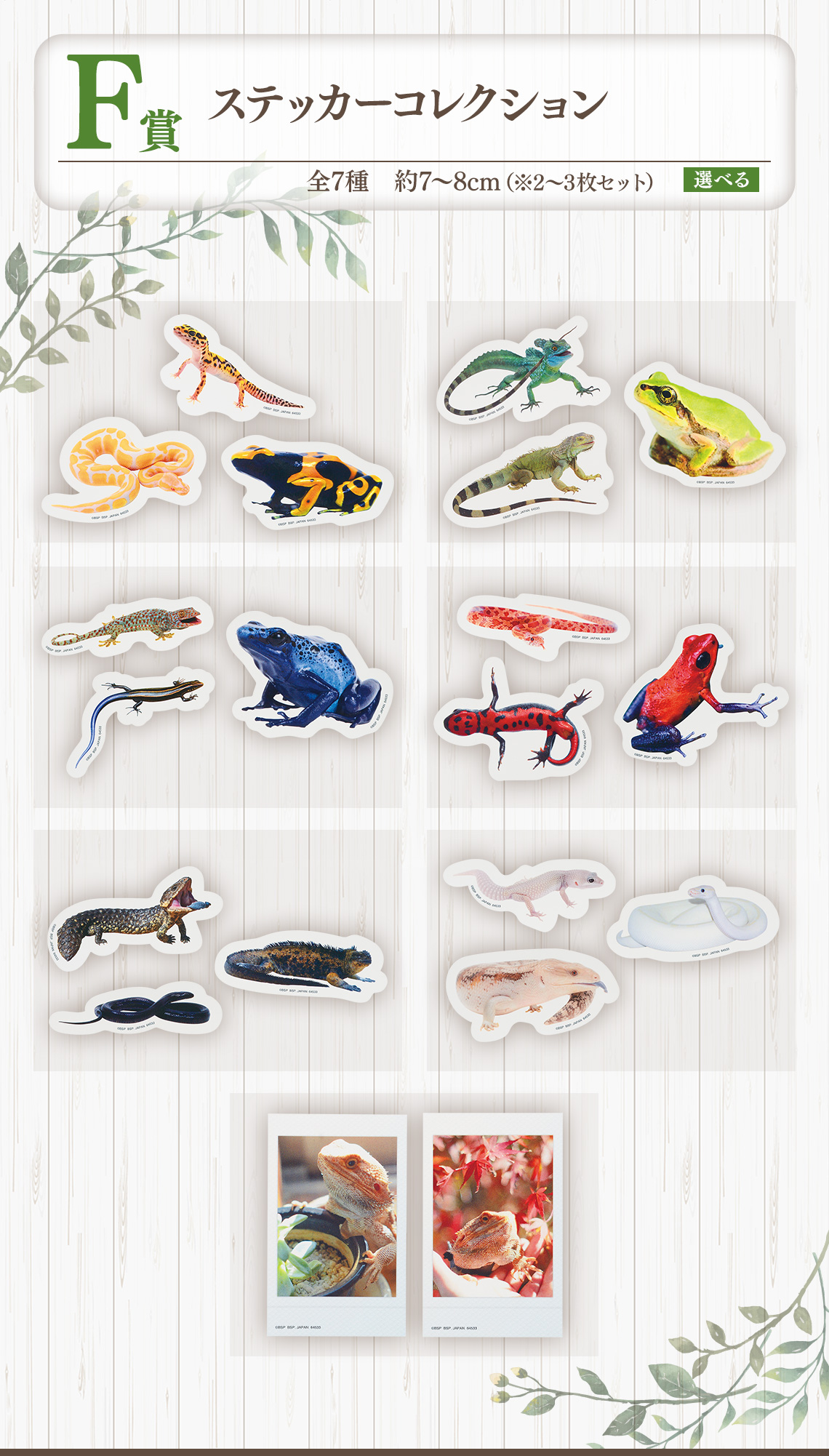 一番くじ 爬虫類＆両生類～Tiny Friends～｜一番くじ倶楽部｜BANDAI