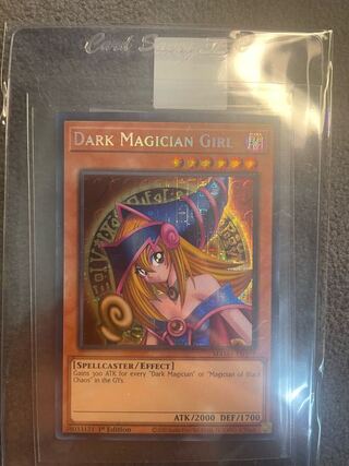 ファラオズシークレット」の激安通販 | magi