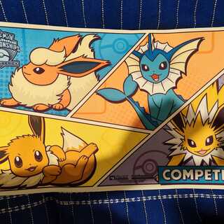 イーブイ プレイマット」の激安通販 | magi