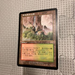 mtg 樹木茂る山麓 日本語版 foil 初版日本語Foil《樹木茂る山麓