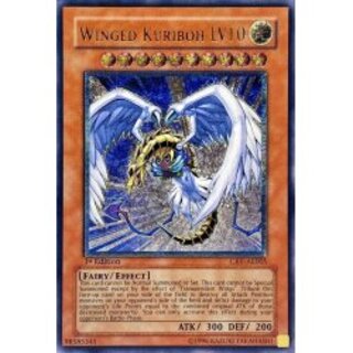 ハネクリボー LV10」の激安通販 | magi