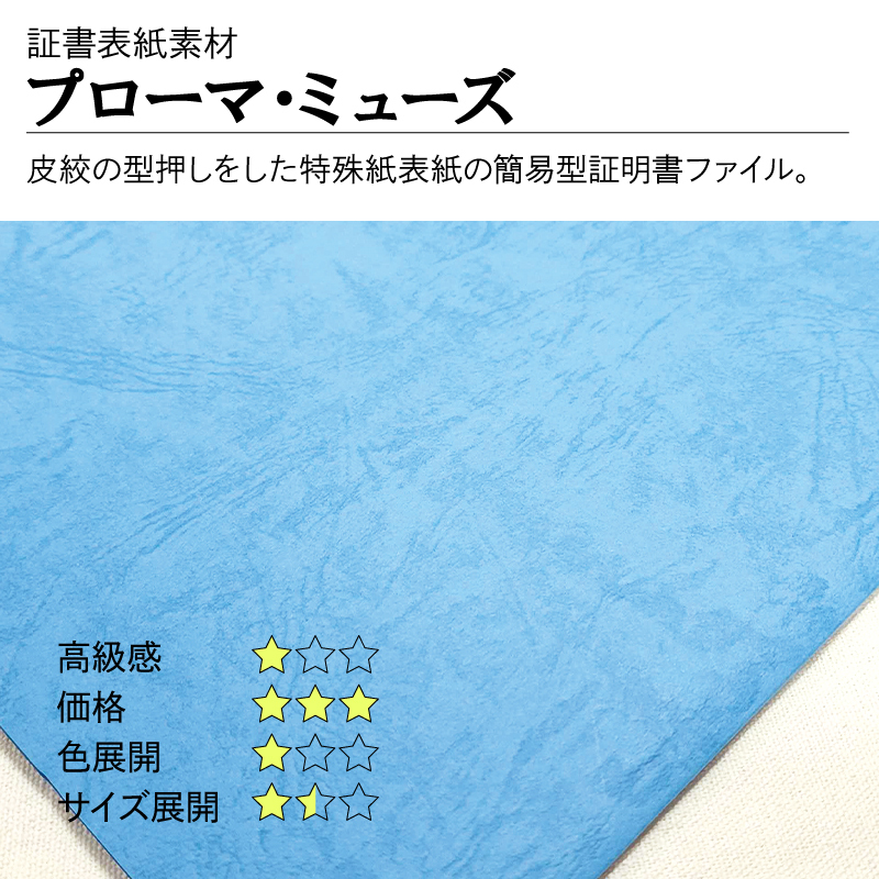 ナカバヤシ 証書ファイル ミューズ 二つ折りタイプ 特殊紙表紙B5判