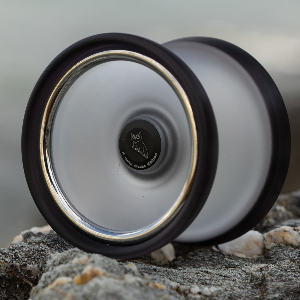 DSC04593_1200x.jpg?v=1735847315