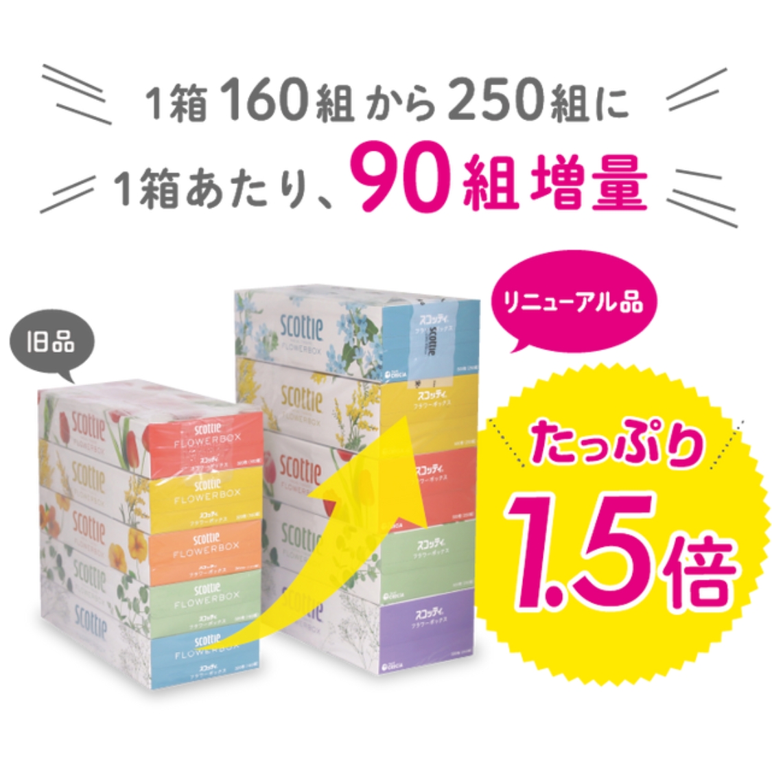公式】ティッシュペーパー 250組(500枚) 60箱 スコッティ フラワー