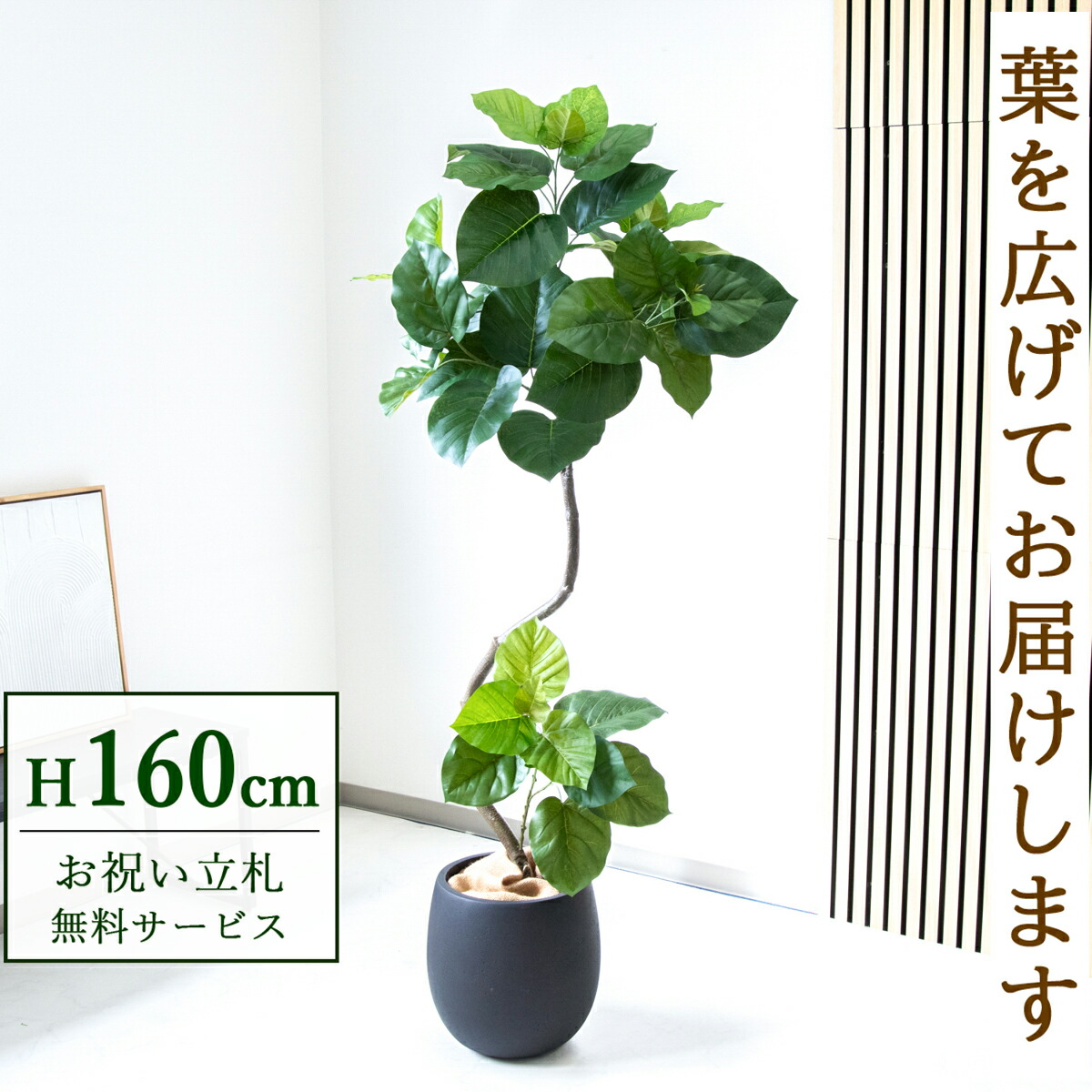 楽天市場】フェイクグリーン 観葉植物 人工観葉植物 フィカス