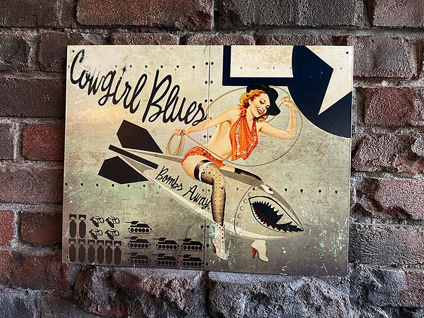 楽天市場】ポリスガール ピンナップガール エンボス ティンサイン