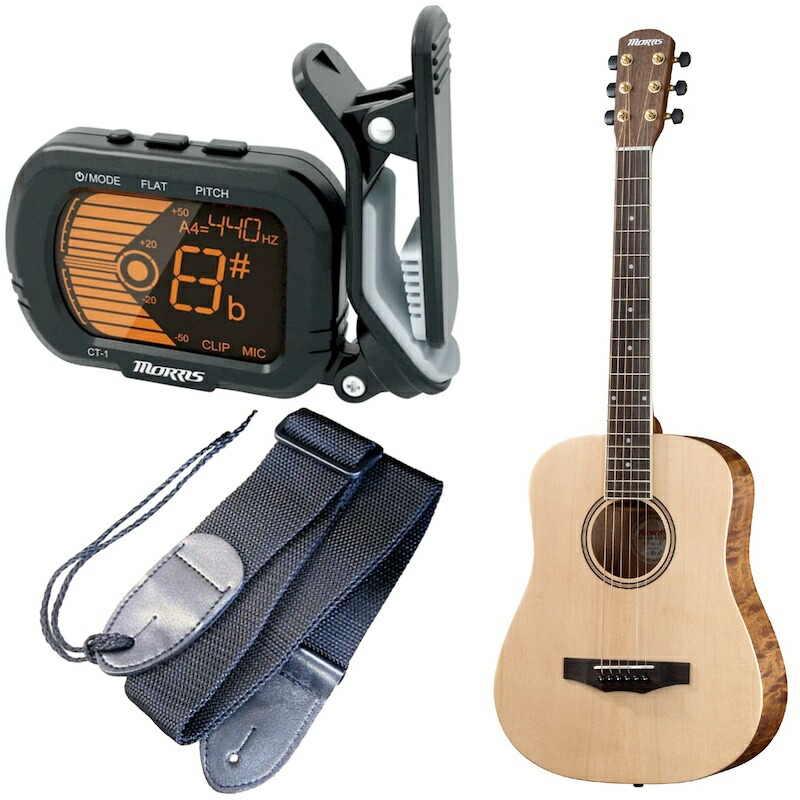 Morris SR-801 汎用ハードケース付 MORRIS TF-801 & Martin ハードド