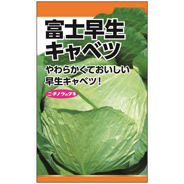 楽天市場】キャベツ 【富士早生キャベツ】 種・小袋 （4ml） 固定種