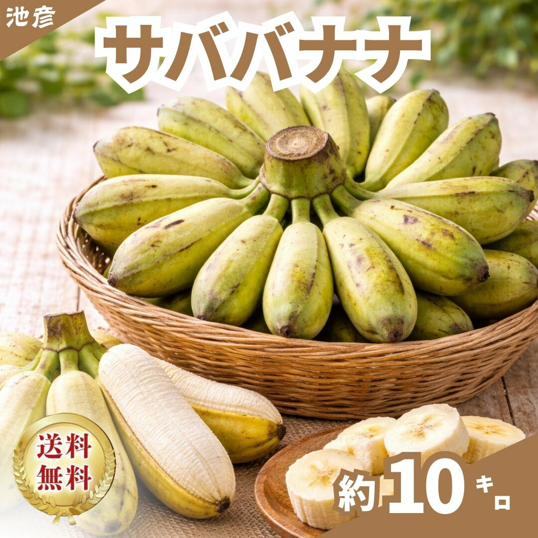 楽天市場】【フィリピン産】モンキーバナナ 6kg 枝付き 箱売り 送料