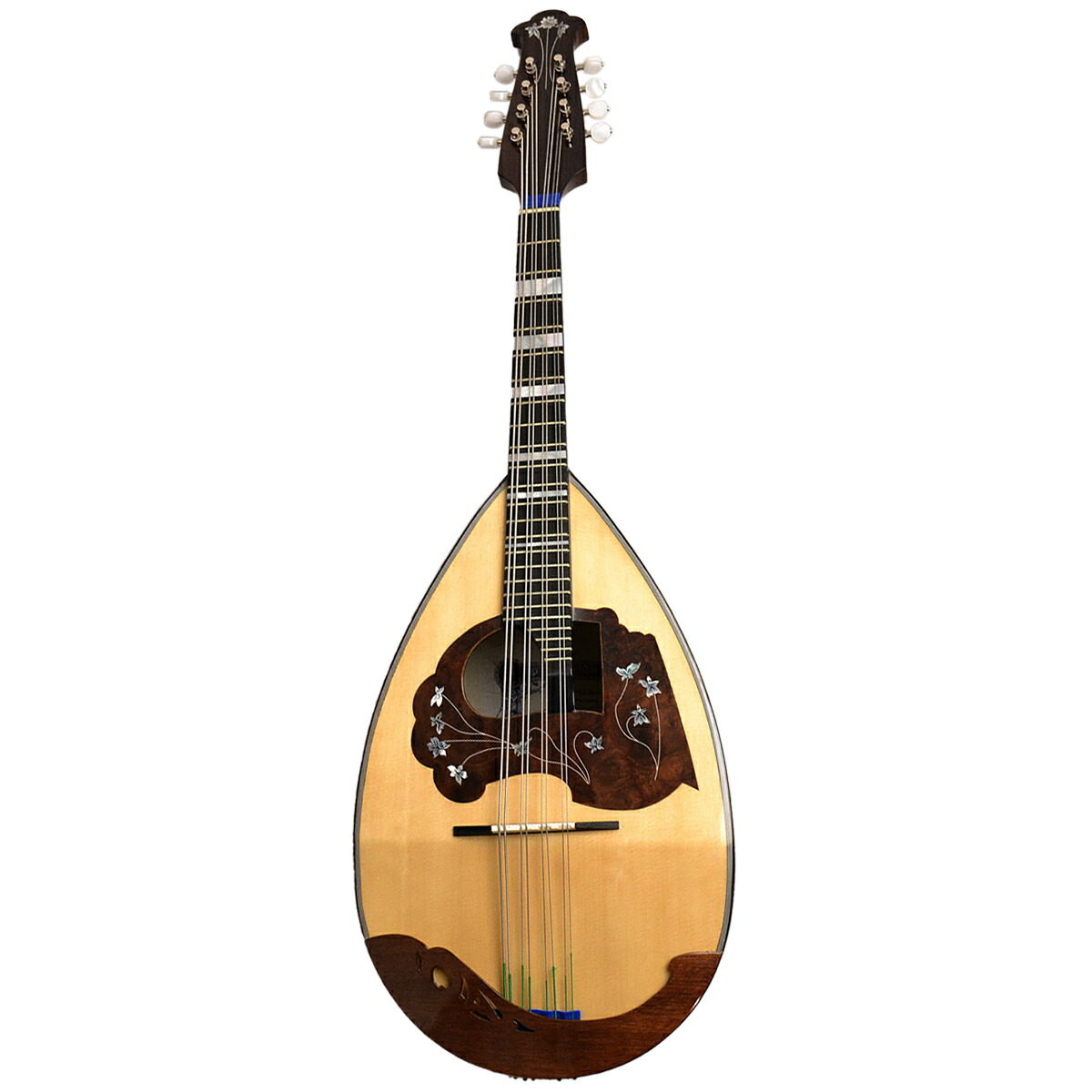 楽天市場】Calace No.24 マンドラ イタリア手工製 カラーチェ No24