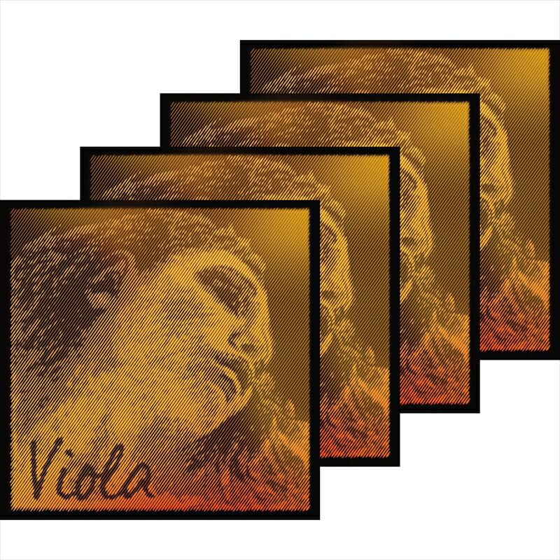 楽天市場】EVAH PIRAZZI GOLD エヴァ ピラッツィ ゴールド バイオリン