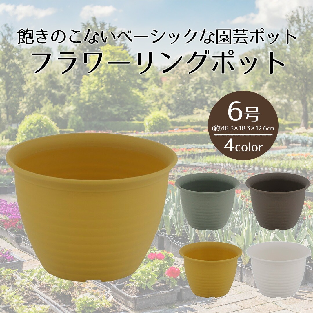 楽天市場】【 ポイント5倍 2/19(木)20:00〜2/23(月)1:59まで