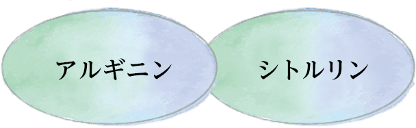 QUICK BURNER+ [2023] | サプリメント | ライザップ公式通販 RIZAP