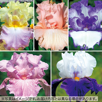 733-NGI519.jpg?202602031613