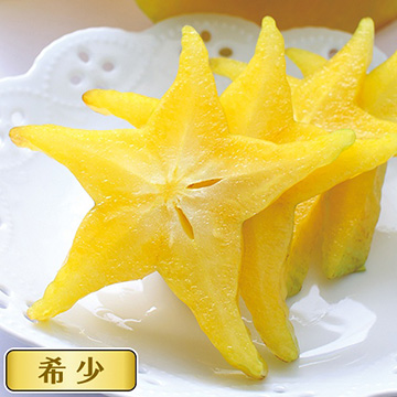 733-NKZ518-4730362.jpg?