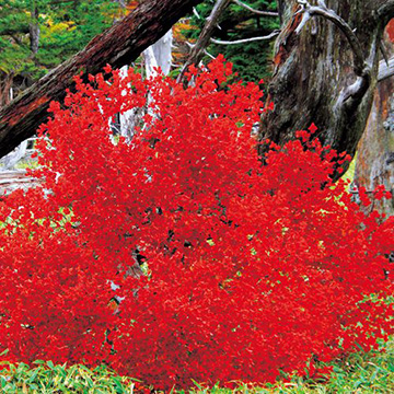 750-NTT093.jpg?202602031613