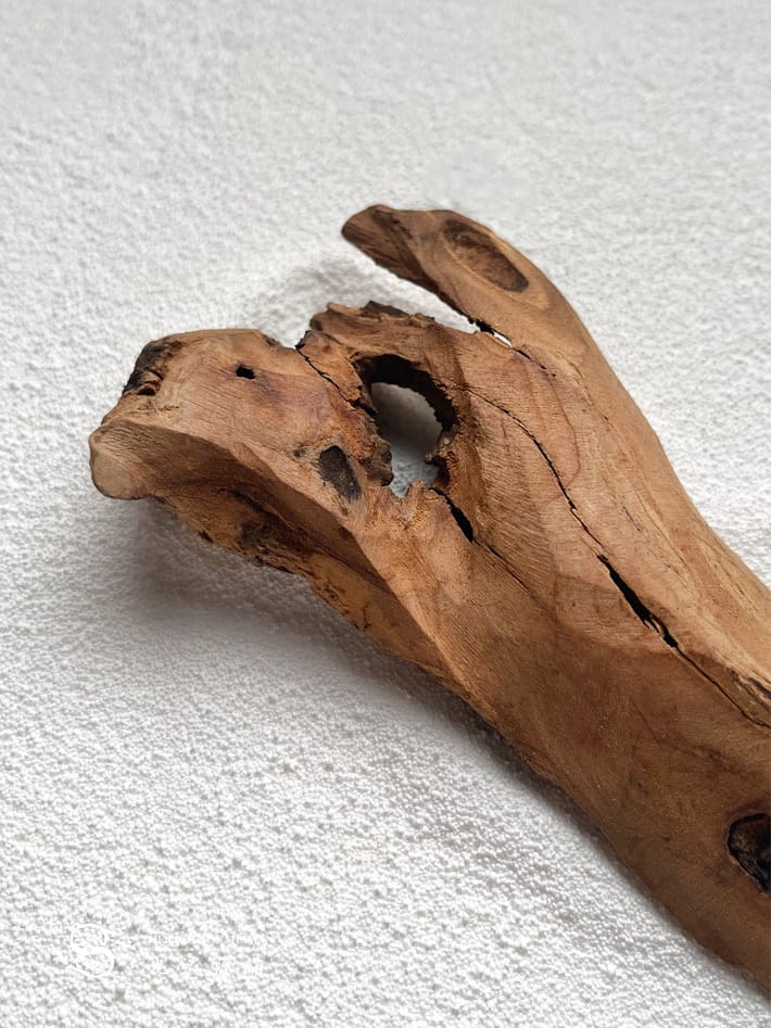 50年珍藏頂級檀香之王正印度老山檀香根部老料067-光之薩滿