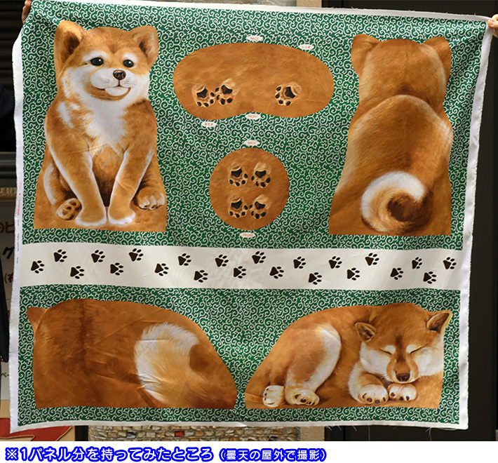 ☆パネル販売 柴犬と唐草 AKASHIBA おすわりポーズといねむりポーズ 1