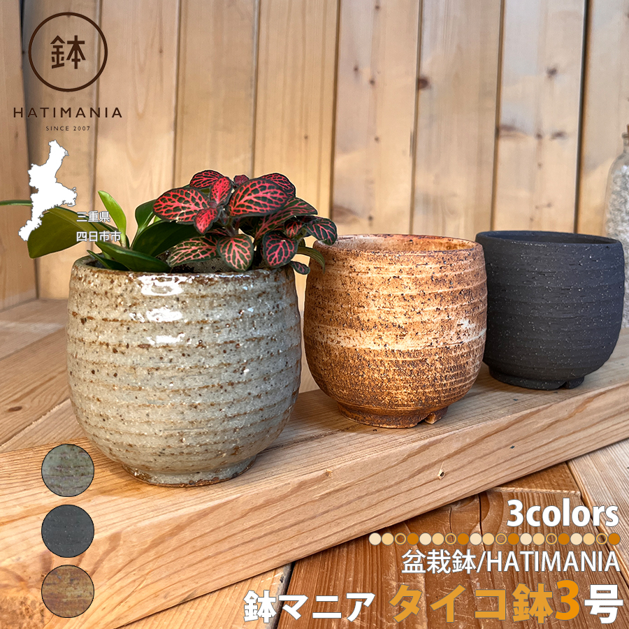 HATIMANIA 鉢マニア タイコ鉢 3号 日本製 盆栽鉢 水が抜けやすい 陶器