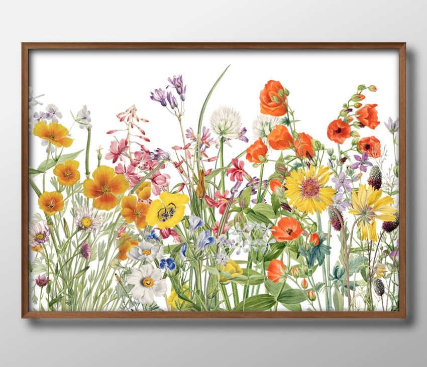 ポスター 9553 ビンテージ フラワー 花 ボタニカル 絵画 インテリア A3