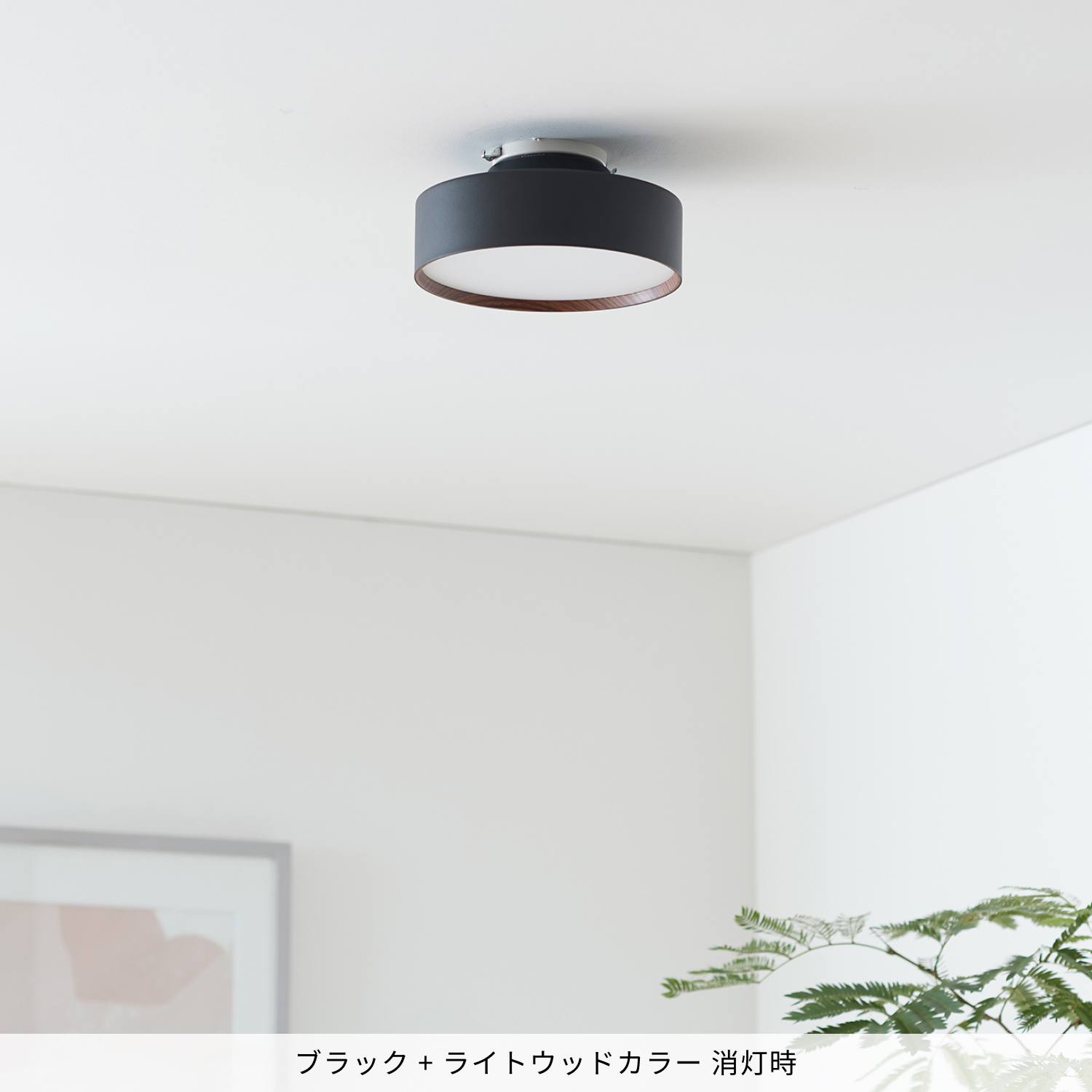 ARTWORKSTUDIO（アートワークスタジオ） シーリングライト 4畳 5畳