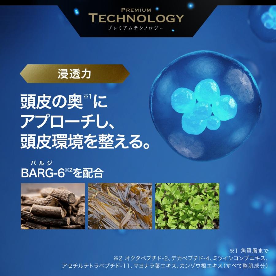 スカルプD ディグニティ プレミアム シャンプー + パック