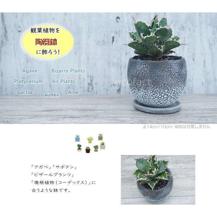 セメント鉢 植木鉢 ミニポット シェビーボール グレイ φ14(10) cm