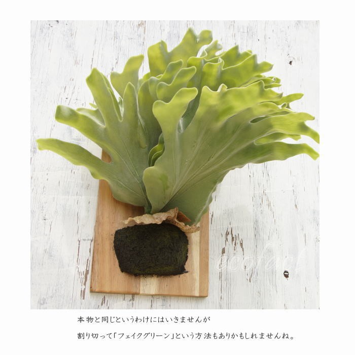 フェイクグリーン ハンギング 大型 壁掛け コウモリラン（ビカクシダ