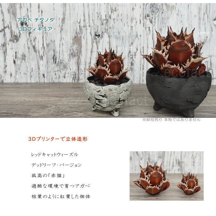 フェイクグリーン 3D フィギュア アガベ チタノタ レッドキャット