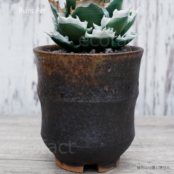 陶器鉢 植木鉢 小鉢 底穴あり 益子焼 Ruins Pot そり二段 φ9cm