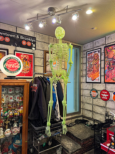 暗闇で光る！ 等身大サイズ 蓄光 ディスプレイガイコツ 150cm Lサイズ