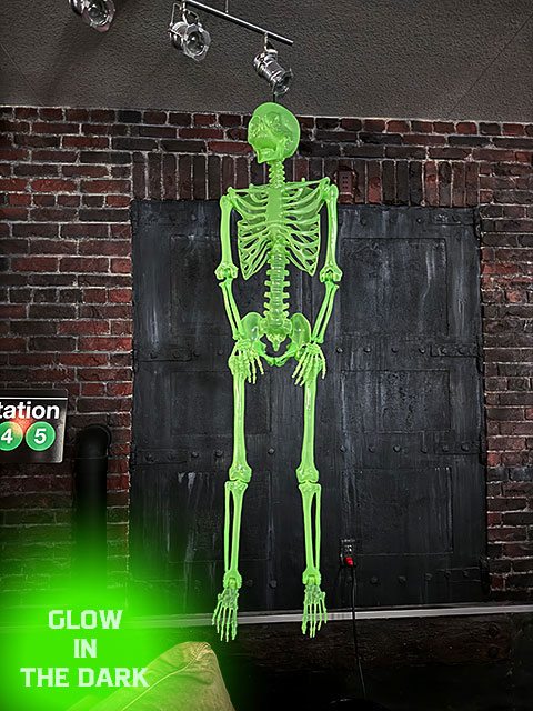 暗闇で光る！ 等身大サイズ 蓄光 ディスプレイガイコツ 150cm Lサイズ