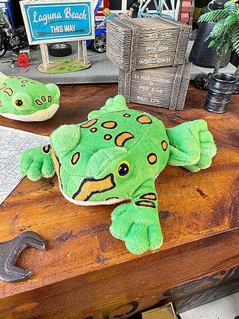 ベルツノガエル マグネット付き ぬいぐるみ カエル 単品 □ アメリカン
