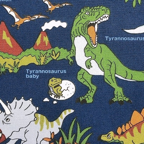 ランチョンマット 小学校 40 50 男の子 長方形 52cm×40cm 恐竜 電車