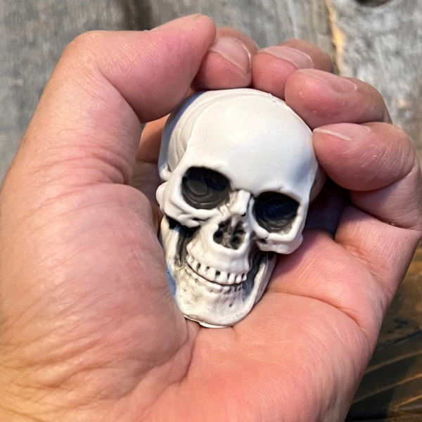 ドクロ SKULL オブジェ ガイコツ 置物 骸骨 スカル 邪気を払う「魔除け