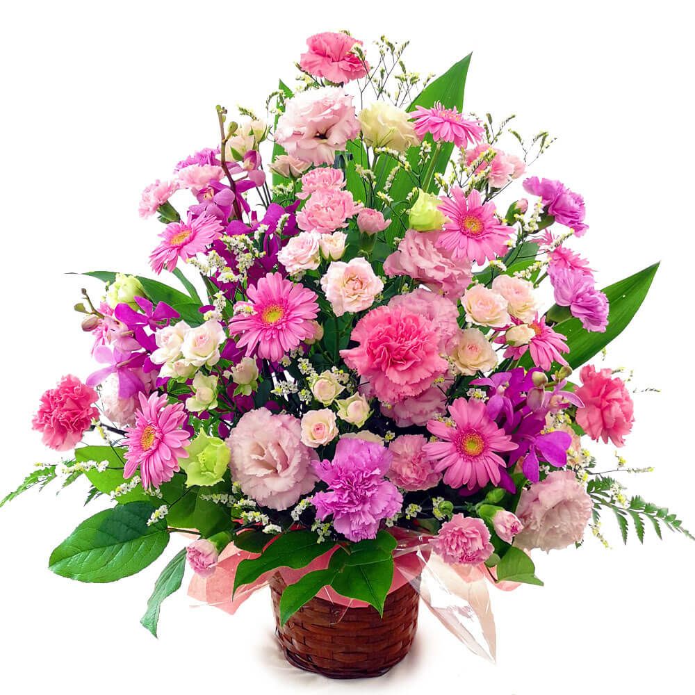 フラワーギフト 「豪華な季節のアレンジ」 (電報なし) お祝い 花