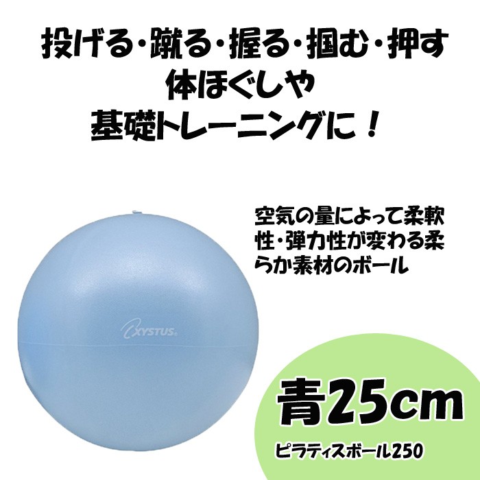 ピラティス ボール 25cm 150g ピラティスボール250 青 XYSTUS ジスタス