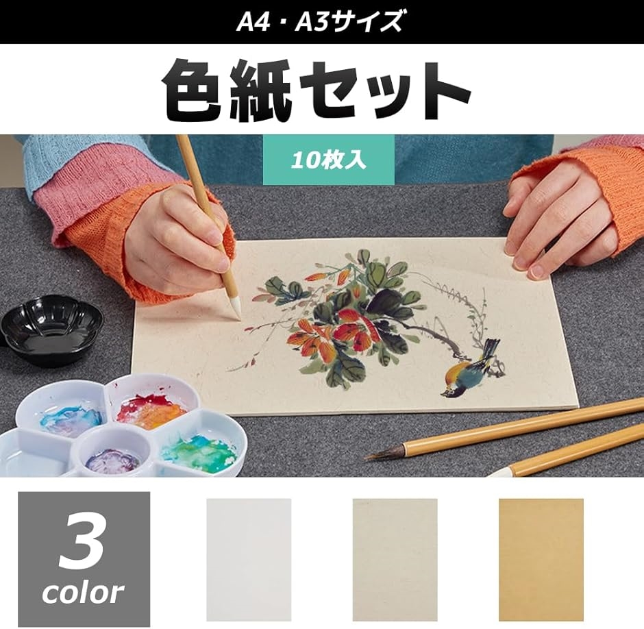 色紙 10枚入 寄せ書き 用紙 サイン色紙(ホワイト, A4) : スピード発送