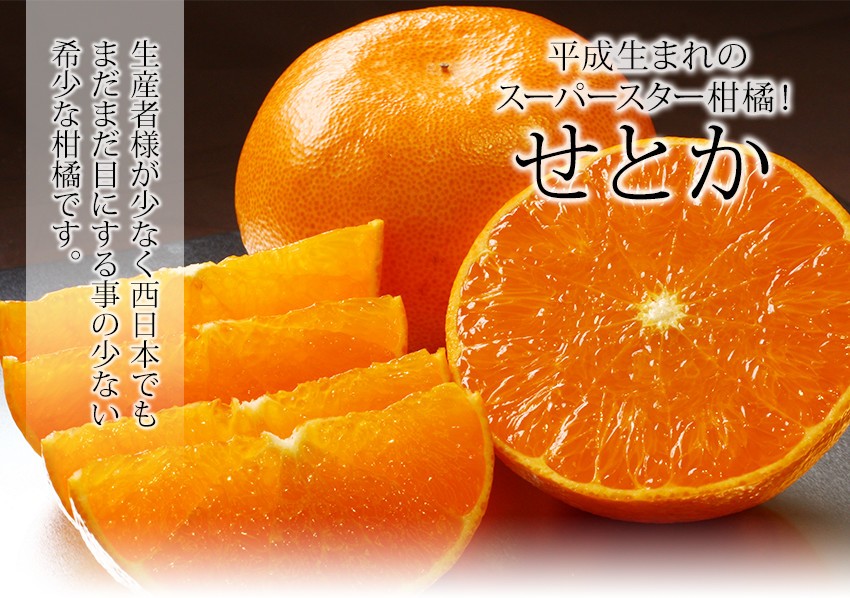 せとか 匠と極 Lサイズ6玉 贈答用 愛媛県 中島産 みかん JAえひめ中央